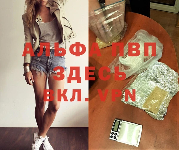 дживик Абаза