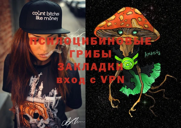 дживик Абаза