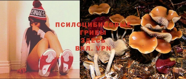 гидра Абинск