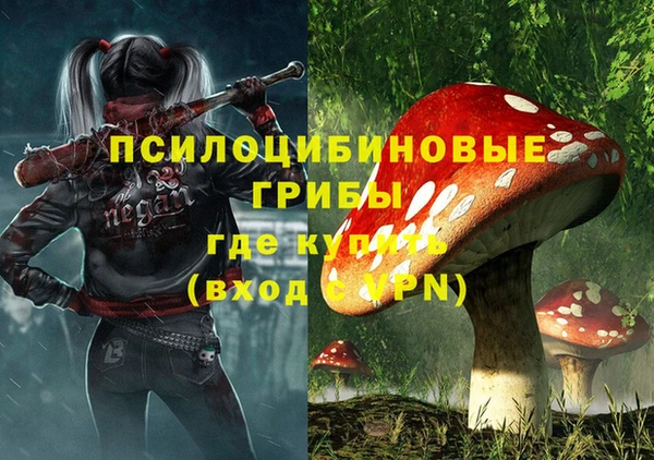 дживик Абаза