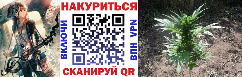 Шишки марихуана конопля Краснозаводск